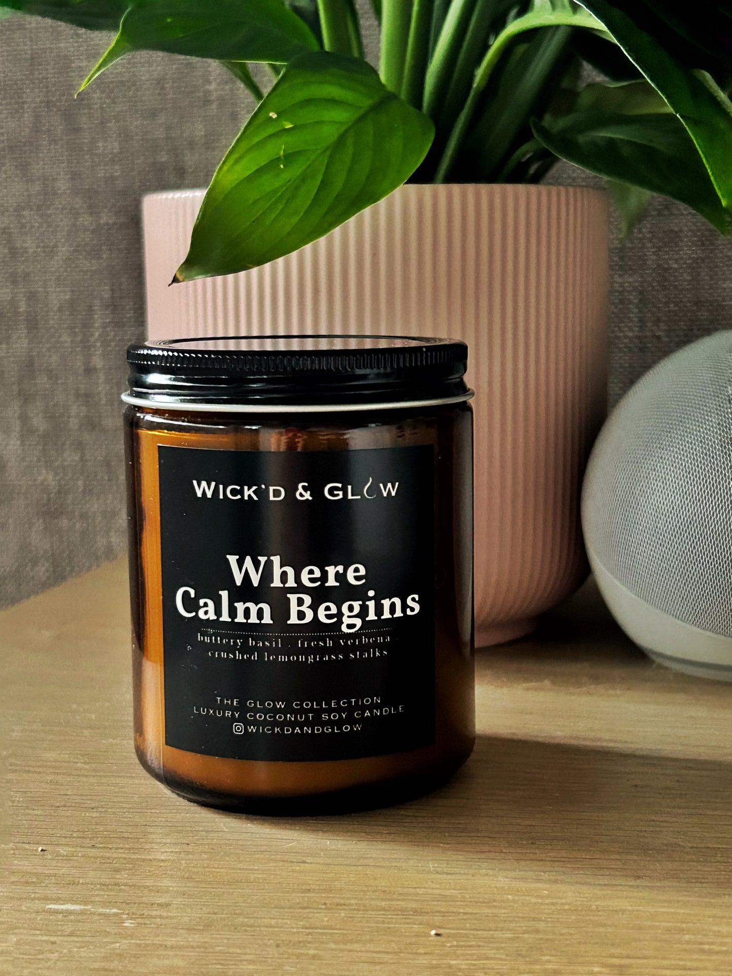 Where Calm Begins